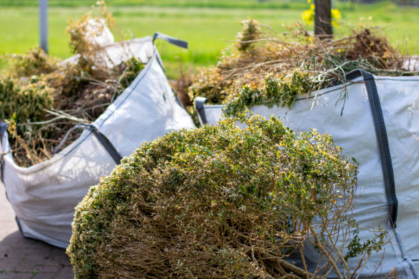 Professional Junk Removal Services in Carlsbad, CA